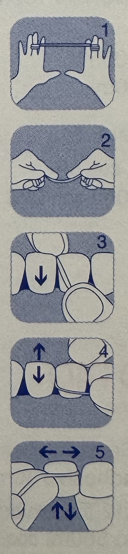Instrucciones visuales sobre cómo usar hilo dental paso a paso